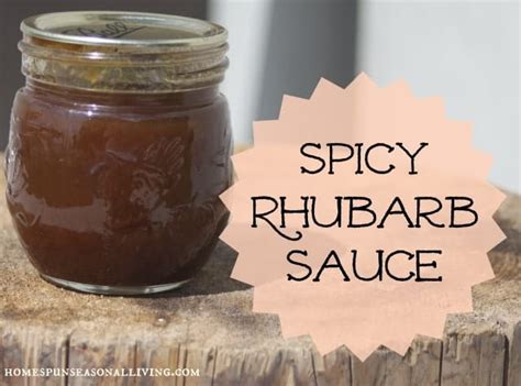 spicy-rhubarb-sauce-homespun-seasonal-living image
