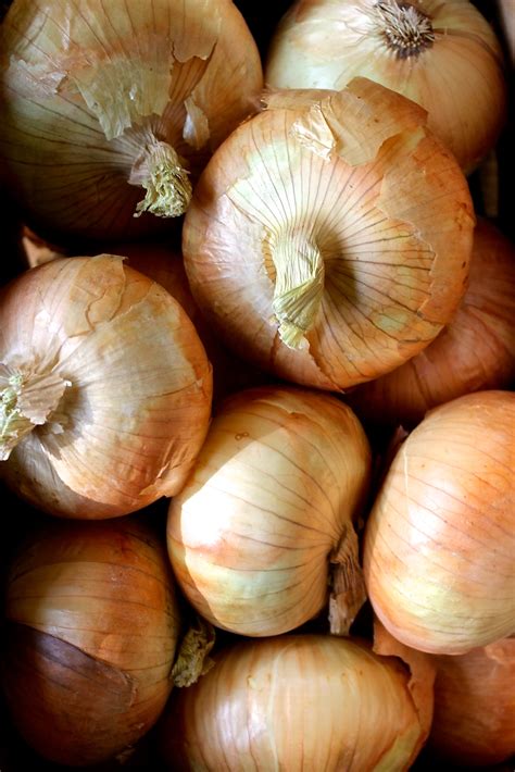 vidalia-onion-quiche-with-thyme-video-enrilemoine image