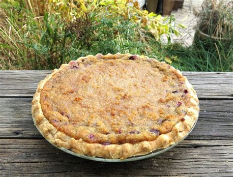 canadian-concord-grape-pie-with-crumb-topping image