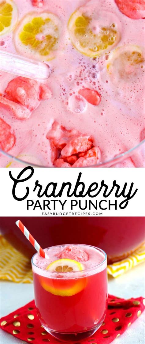 cranberry-party-punch-easy-budget image
