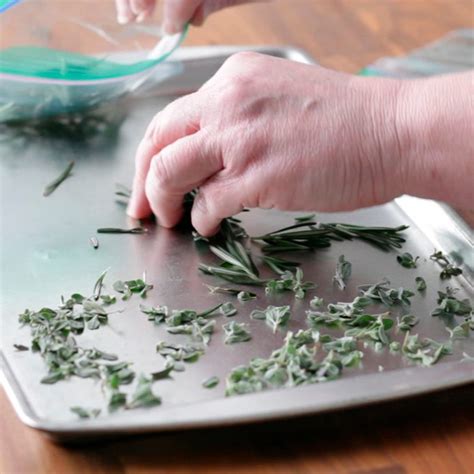 how-to-freeze-herbs-taste-of-home image