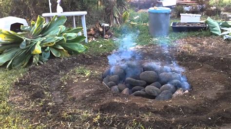 slow-cooker-kalua-pork-aloha-dreams image