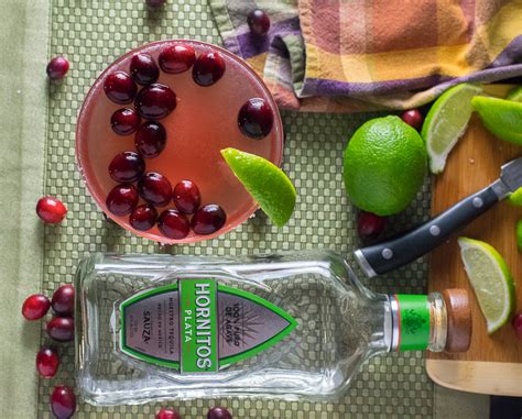 cranberry-lime-margarita-fox-valley-foodie image