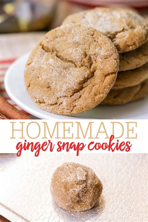 ginger-snap-cookies-soft-chewy-video-lil-luna image