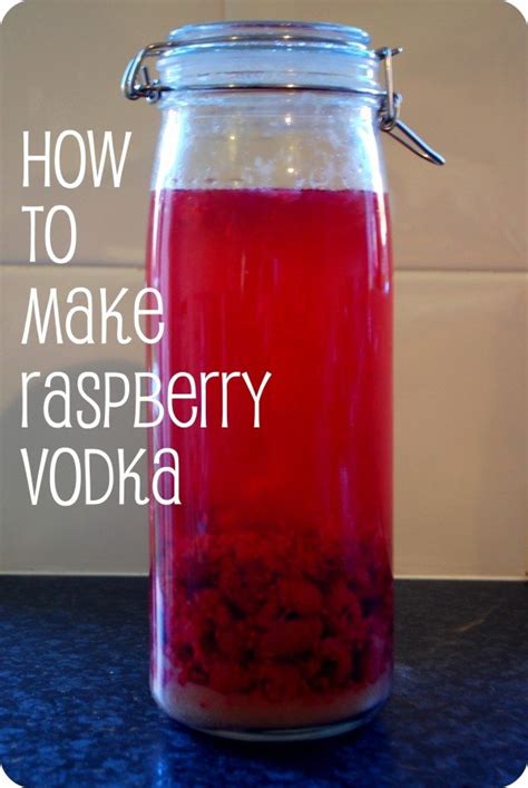 how-to-make-raspberry-vodka-elizabeth-dhokia image