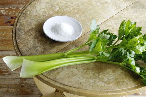 celery-salt-stodgy-spice-or-sublime-seasoning-the image