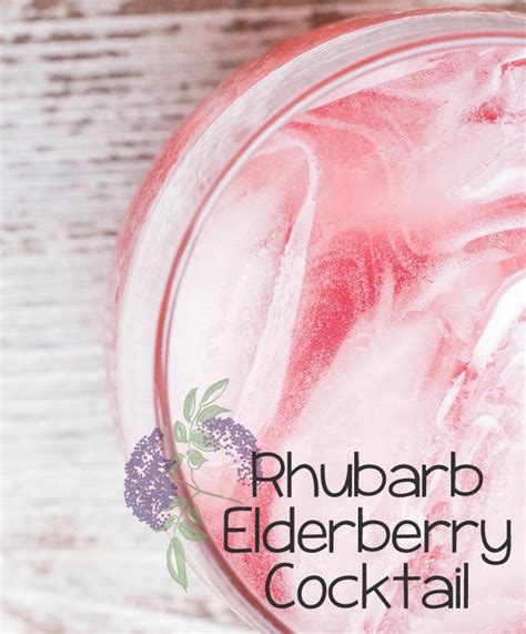 rhubarb-elderberry-cocktail-daily-dish image