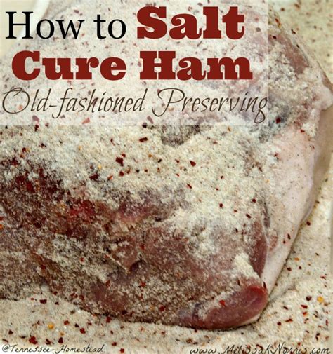 how-to-salt-cure-a-ham-at-home-melissa-k image