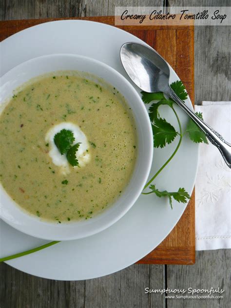 creamy-cilantro-tomatillo-soup-sumptuous-spoonfuls image