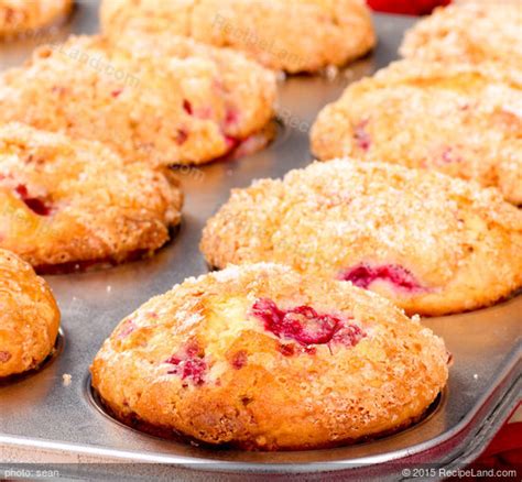 cranberry-coconut-muffins-recipe-recipelandcom image