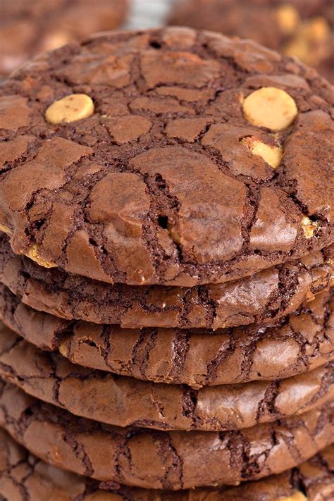 chocolate-wows-cookies-recipe-girl image