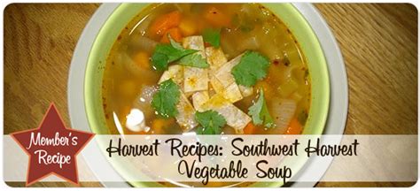 southwest-harvest-vegetable-soup-chickadvisorcom image