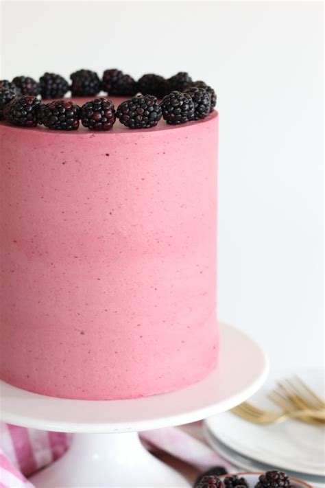 rich-and-decadent-chocolate-blackberry-cake-cake image