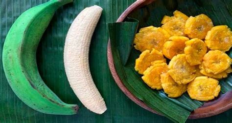 see-the-boiled-green-bananas-health-benefits-for image