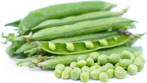 english-peas-information-recipes-and-facts-specialty image