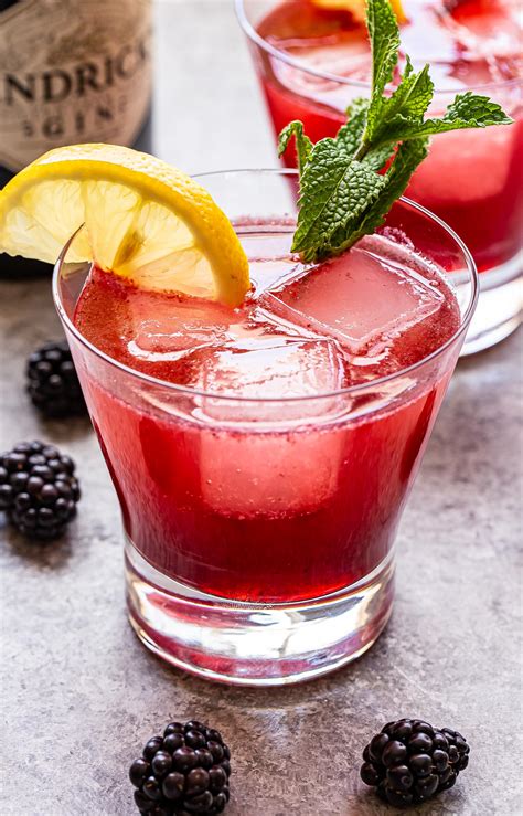 blackberry-gin-fizz-recipe-runner image