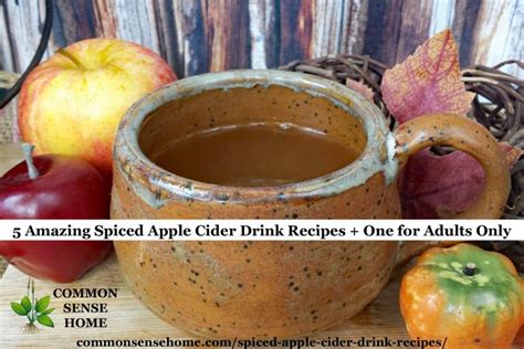 5-amazing-spiced-apple-cider-drink image