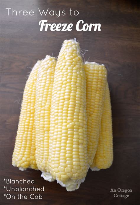 how-to-freeze-corn-three-ways-blanched image