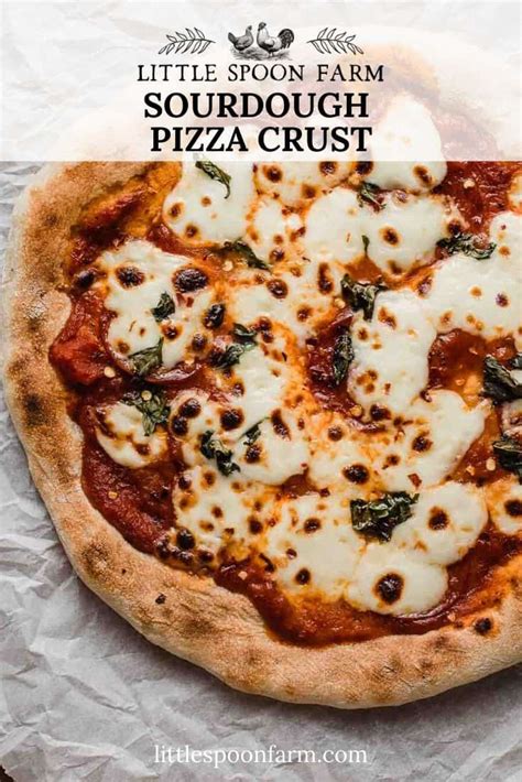sourdough-pizza-crust-recipe-your-new-favorite image