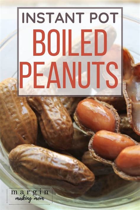 how-to-make-instant-pot-boiled-peanuts-margin-making image