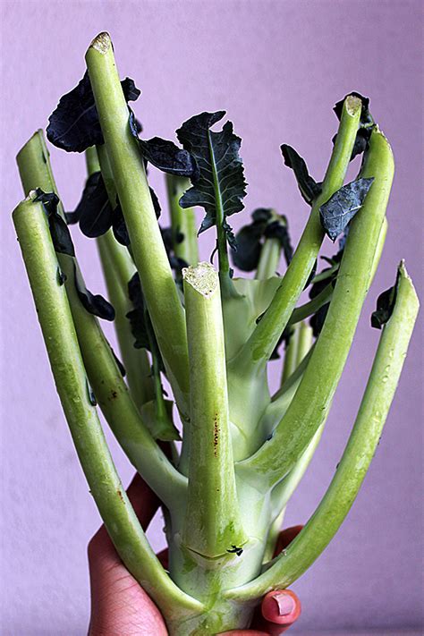 broccoli-stems-salad-anna-cooking-concept image