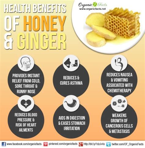 honey-ginger-benefits-recipe-ideas-organic-facts image