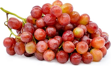 seedless-grapes-red-information-recipes-and-facts image