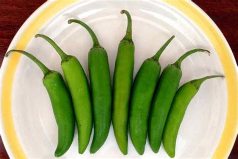 serrano-chiles-peppers-mexican-food-journal image