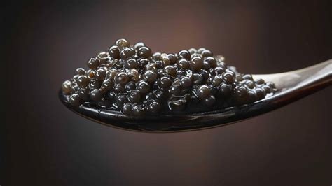 caviar-from-iran-the-history-of-iranian-caviar-updated image