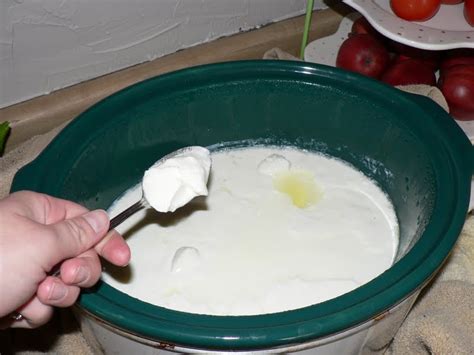crock-pot-or-slow-cooker-yogurt-recipe-how-to-make image