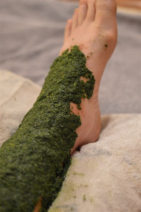 how-to-make-a-poultice-with-herbs-joybilee-farm-diy image