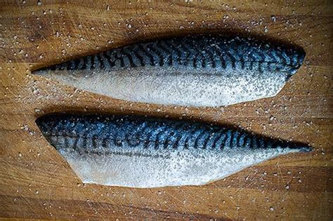 saba-shioyaki-japanese-salt-grilled-mackerel image