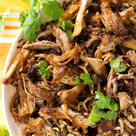 carnitas-mexican-slow-cooker-pulled-pork-recipetin image