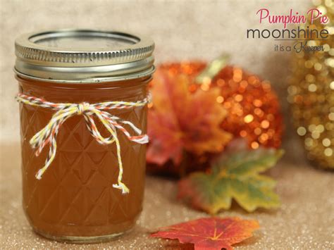 tasty-pumpkin-pie-moonshine-recipe-it-is-a-keeper image