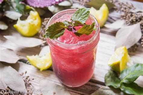 watermelon-gimlet-cooking-with-a-wallflower image