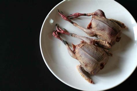 cooking-with-pigeon-a-recipe-for-sweet-and-sour-fried image