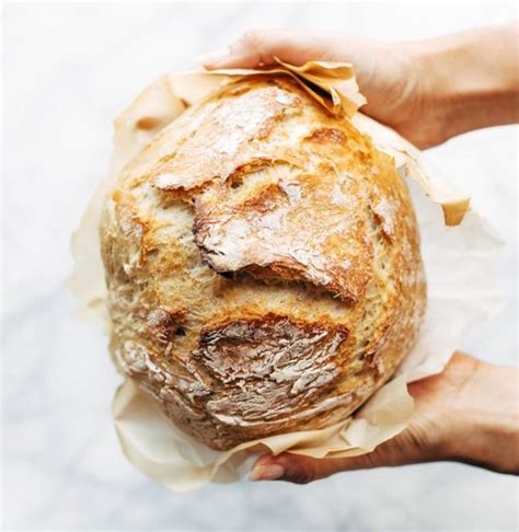 10-no-knead-bread-recipes-you-can-make-with-10 image