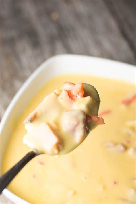 ham-and-cheese-soup-crock-pot-recipes-that-crock image