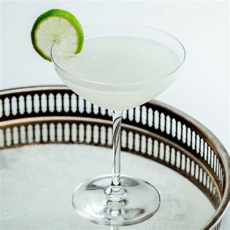 vodka-gimlet-cocktail image