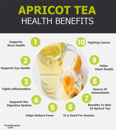 11-amazing-health-benefits-of-apricot-tea-khubani image