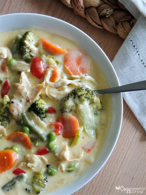 cheesy-chicken-and-vegetable-soup-this-silly-girls image