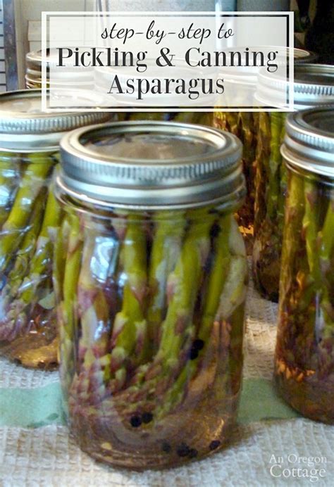pickled-and-canned-asparagus-step-by-step-tutorial image