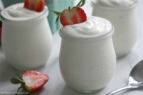how-to-make-coconut-yogurt-in-an-instant-pot-oven image