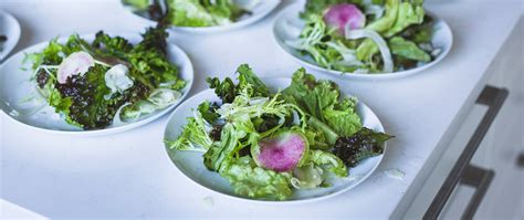 mixed-greens-salad-with-shaved-fennel-and-radishes image