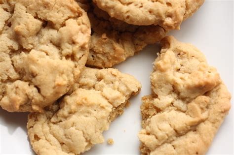 soft-and-chewy-peanut-butter-maple-cookies-happy image