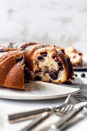 blueberry-sour-cream-coffee-cake-house-of-nash-eats image