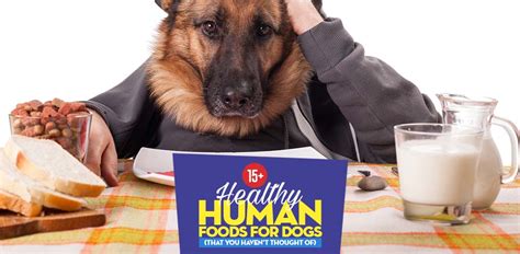 16-best-human-foods-for-dogs-that-you-havent image