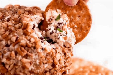 cranberry-pecan-cheese-ball-the-recipe-critic image