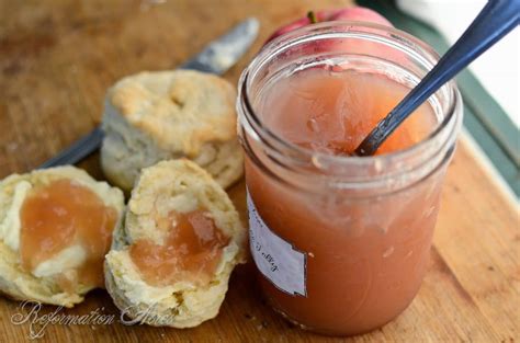 spiced-apple-jelly-reformation-acres image