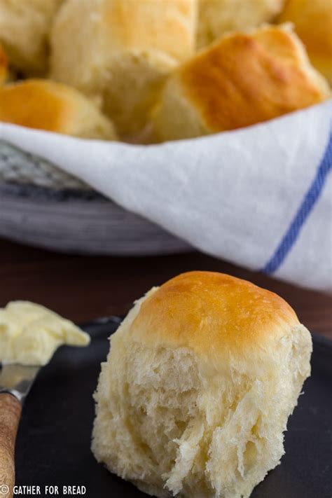 amish-dinner-rolls-gather-for-bread image